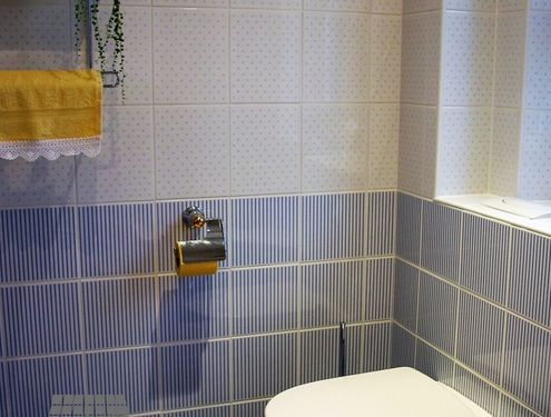 Ein etwas älteres Badezimmer mit kleineren Fliesen - mal was anderes.