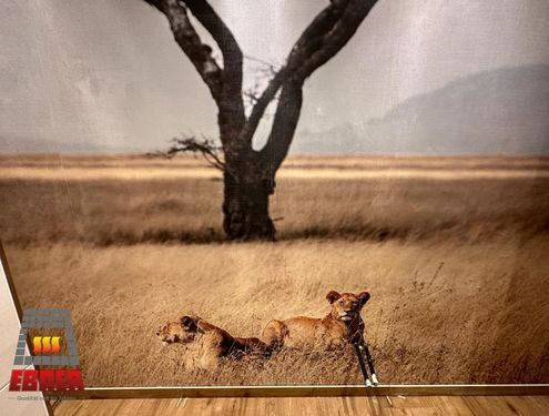 Ein extravagantes Badezimmer. Die Holzoptikfliesen und weißen Fliesen sind zwar schlichter gehalten, doch durch die ganzflächige Fototapete wird das Badezimmer zur Savanne.